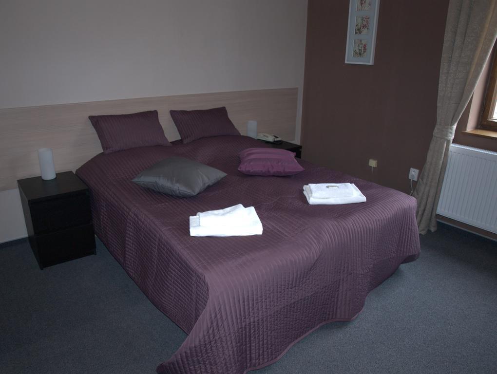 Hotel U Lva Bilina Room photo